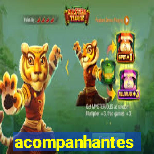 acompanhantes chamada de video