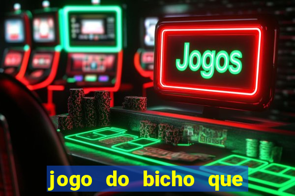 jogo do bicho que paga no pix