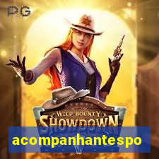 acompanhantesportovelho