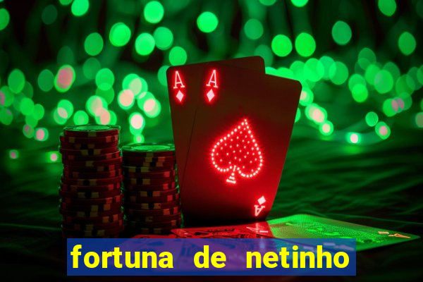 fortuna de netinho de paula