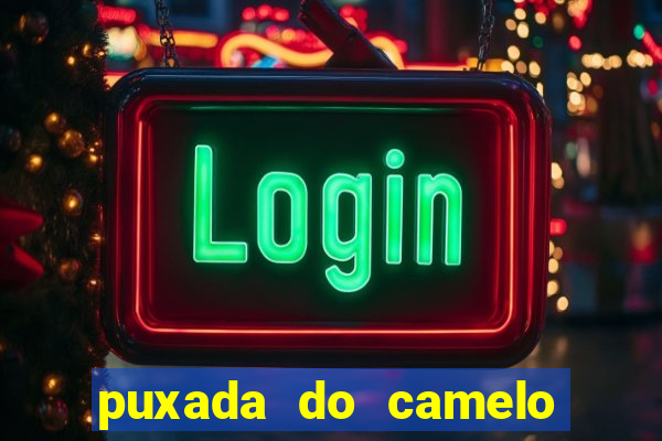 puxada do camelo jogo do bicho