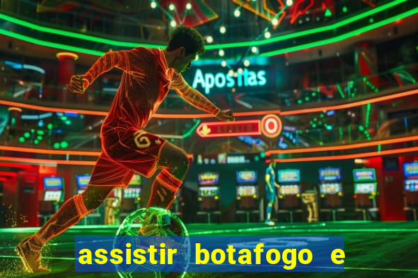 assistir botafogo e avai ao vivo em hd