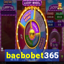 bacbobet365